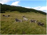 Planina Ravne - Kocbekov dom na Korošici